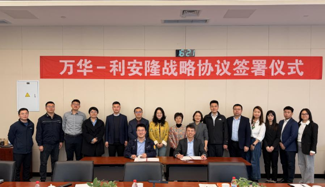 Rianlon and Wanhua.png