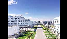 Rianlon Officially Launched the Merger of Hengshui Kaiya Chemical.jpg