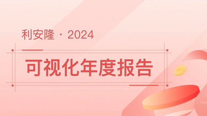 利安隆2024可视化年度报告